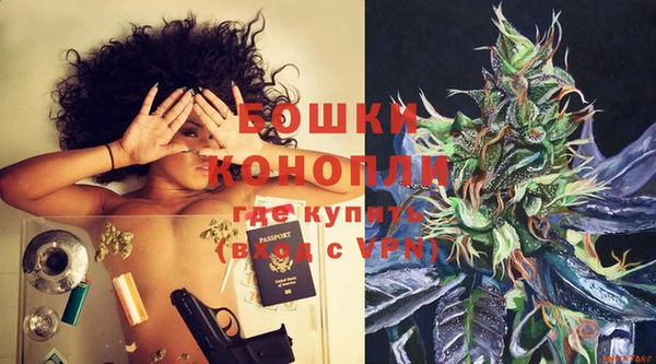 бошки Осинники