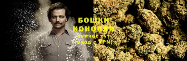 мяу мяу мука Новодвинск