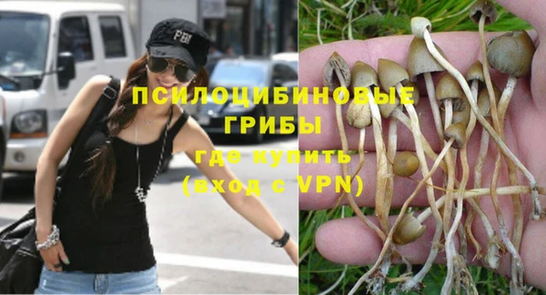 бошки Осинники