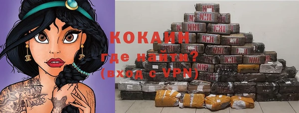 бошки Осинники